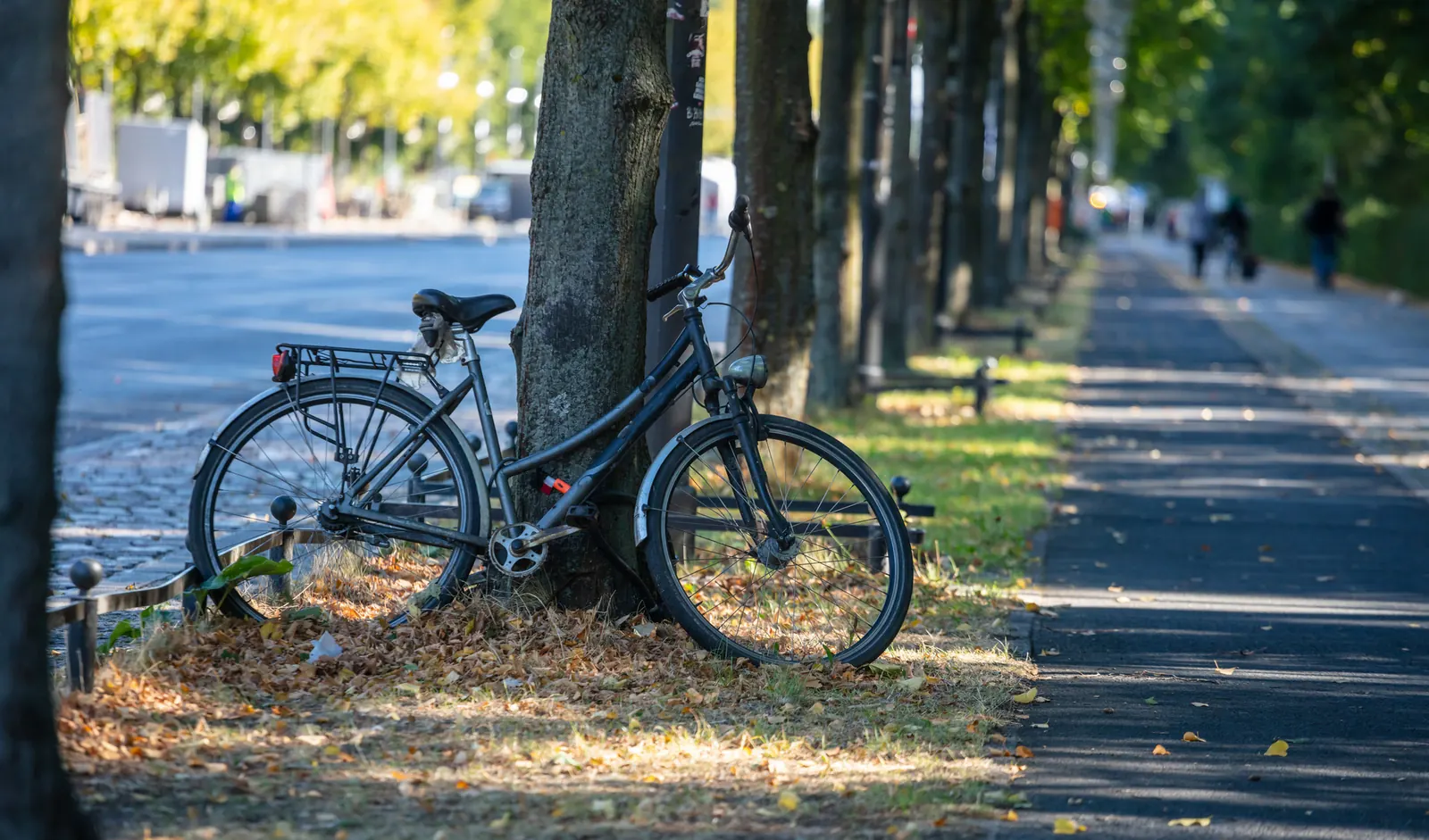 Bicycle resting beside a tree on a quiet urban path